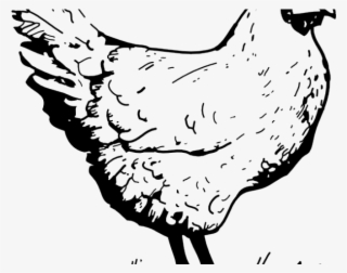 Drawn Chick Egg Png #9801536