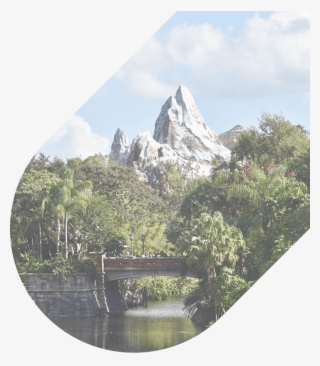 407 274 9782 Our Agents Are Available 24/7 - Disney's Animal Kingdom #9801813