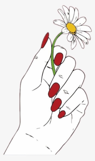 #daisy #flower #red #hand #nails #white #draw #tumblr - Drawing Of Hands Holding Flowers #9801816