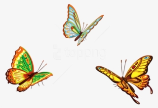 Free Png Three Butterfliespicture Png Images Transparent - Butterflies Clipart Png #9802209