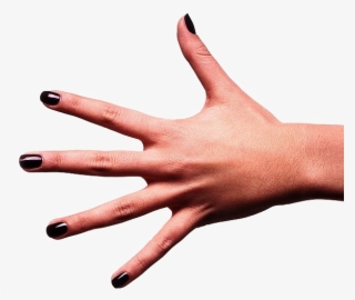 Nail Polish #9802530