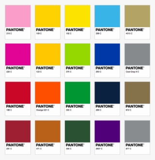 Pantone - Free Transparent PNG Download - PNGkey