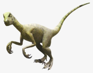 Allosaurus Clipart - Tyrannosaurus #9805173