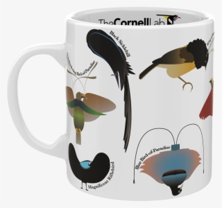 Birds Of Paradise Mug - Coffee Cup #9808474