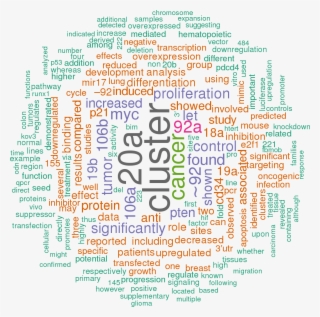 Sort By - Hsa Let 7a 3p 5p 3 Utr #9809430