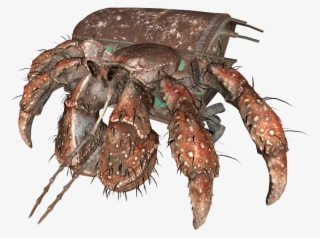Hermit Crab - Fallout 4 Hermit Crab #9810201