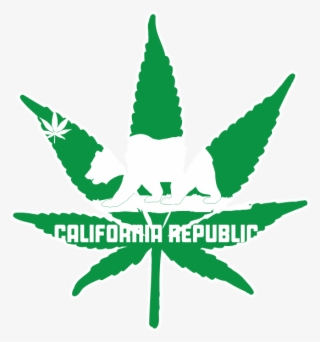 Transparent Pot Leaf - Cannabis #9810598