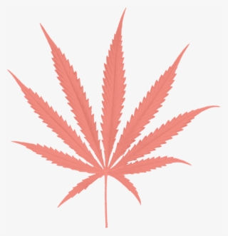 Paradiso Gardens Sativa Leaf - Cannabis Png #9810644