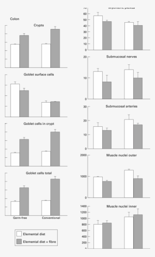 Evects Of The Various Treatments On The Morphometry - Monochrome #9812147