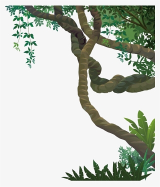 Jungle Vines Png File - Forest Vines Png #9813021