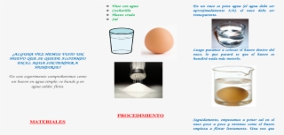 Experimentos Para Niños #9814287