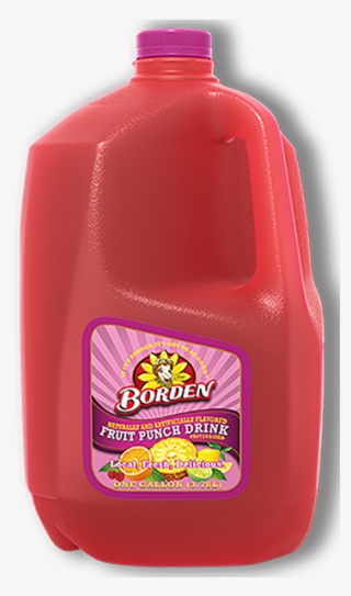 Borden Fruit Punch #9814425