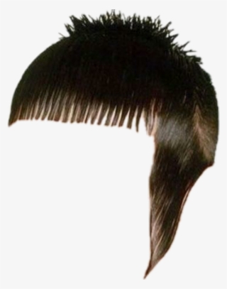 #ainsley #haircut - Weird Hair - Free Transparent PNG Download - PNGkey