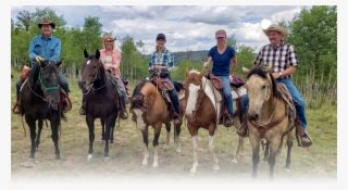 A/u Ranches - Stallion #9815260