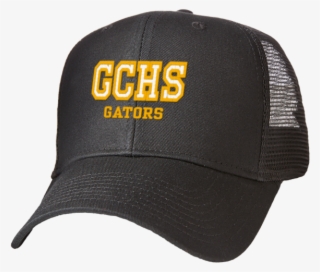 Gator Hat Transparent #9816059