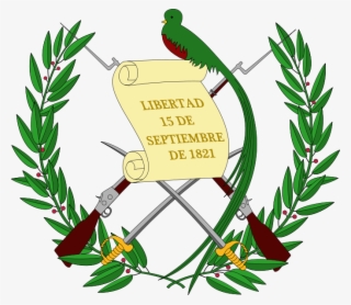 Guatemala Drawing Guatemalan Quetzal - Guatemala Coat Of Arms #9816480