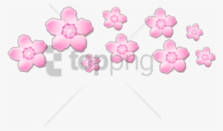 Free Png Flower Crown Tumblr Png Png Image With Transparent - Soft Aesthetic Transparent #9816483