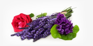 Flower Smell Png #9816860