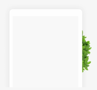 Relevant Content, Neat Design, And A Law-compliant - Fern #9820132