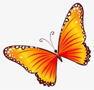 Free Png Download Transparent Orange Butterfly Clipart - Yellow And Red Butterfly #9820723