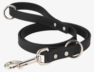 Leash Png - Collar And Leash Png #9821373
