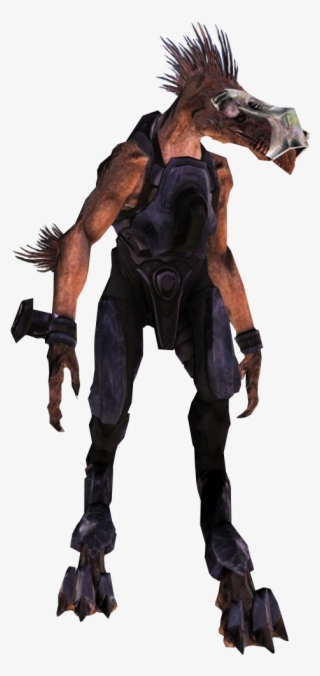 Jackalsniper " - Stallion #9826897