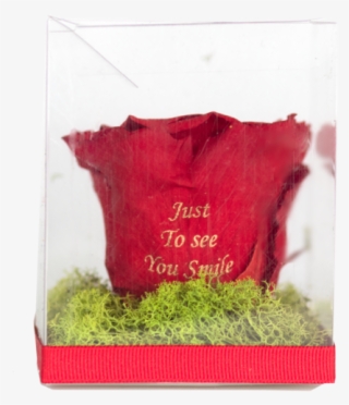 Greeting Card #9828651