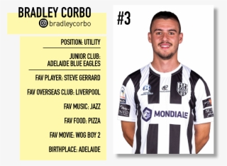 Npl - Laurel Wreath #9829235