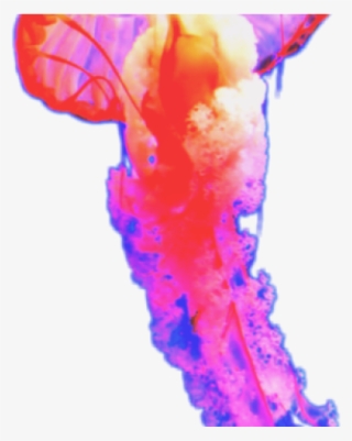 Jellyfish Clipart Man O War - Close-up #9830341