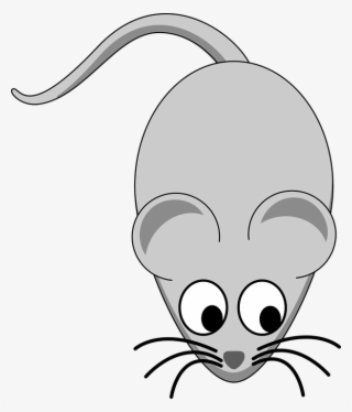 Mouse Rodent Animal - Mouse Clipart #9832451