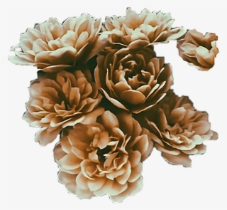 #brown #flowers #aesthetic #stickers #freetoedit - Aesthetic Brown Flowers #9833157