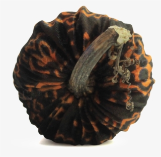 Halloween Pumpkins - Vegetable #9833672