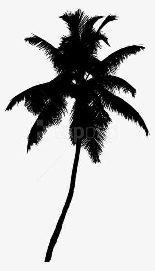 Free Png Palm Tree Silhouette Png - Transparent Palm Tree Silhouette Png #9833978 Free Png Palm Tree Silhouette Png - Transparent Palm Tree Silhouette Png #9833978