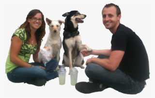 Instant Price Quote - Companion Dog #9834489