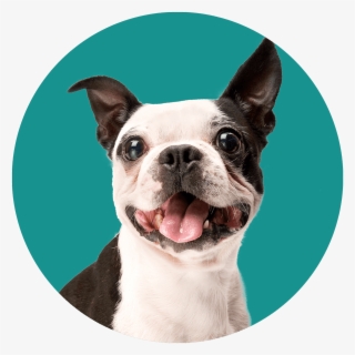 Gilian Avatar - Ear Mite #9834664