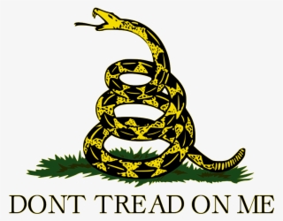 Picture1 - Don T Tread On Me #9838094