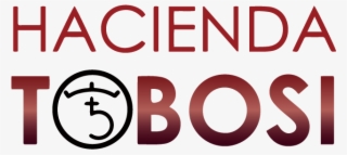 Costa Rica Hacienda Tobosi Caturra Black Honey - Graphic Design #9838454