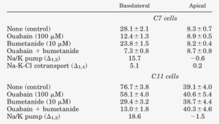 Rates Of 86 Rb Influx Across Basolateral And Apical #9838842