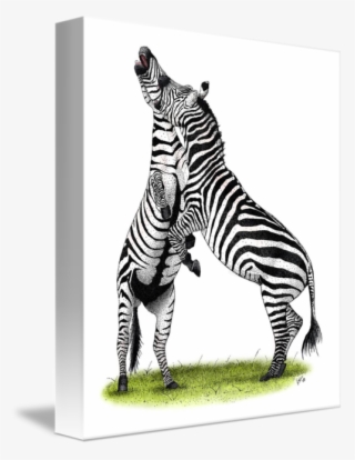 502 X 650 1 - Zebra #9839411