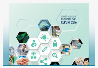 Nci Acting Director Thanks Vice President Biden For - Diagram #9839461