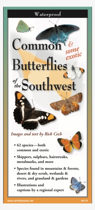 Shopping Cart -  -  #9839768