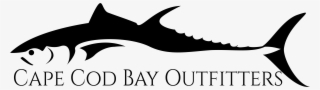 Whale Watch & Cruising Charters - Squaliformes #9840637