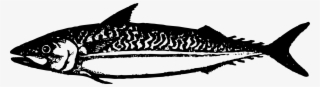 Requiem Sharks Douchegordijn Fauna Dolphin - Illustration #9840719