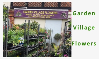 Hatfield Flowers-bedding Plants & Shrubs - Tree #9841005