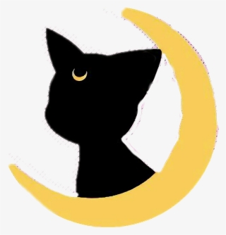 #sailormoon #cat #gato #cute #luna #moon - Sailor Moon Gato Png #9841818