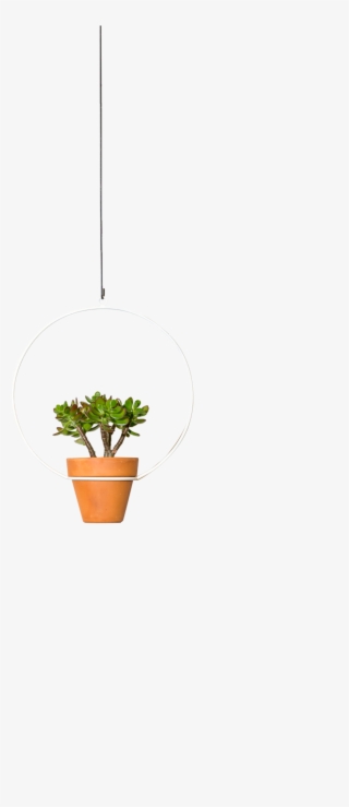 Hanging Circle Planter 10" #9843757