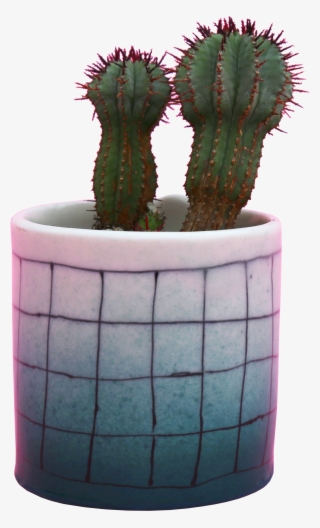 These Porcelain Pots Are Fully Glazed & Hand Built - Flowerpot #9843792