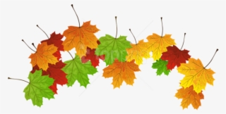 Free Png Download Fall Leaves Clipart Png Photo Png - Leaves Free Clipart #9844184