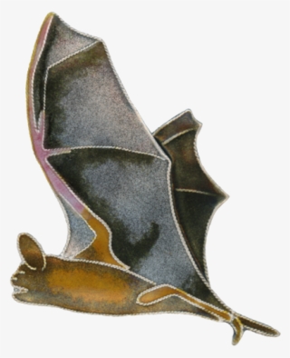 Free Tail Bat Pin Clean Up Copy - Vampire Bat #9844836