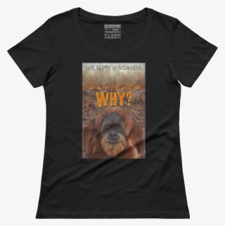 Punxsutawney Phil #9846528